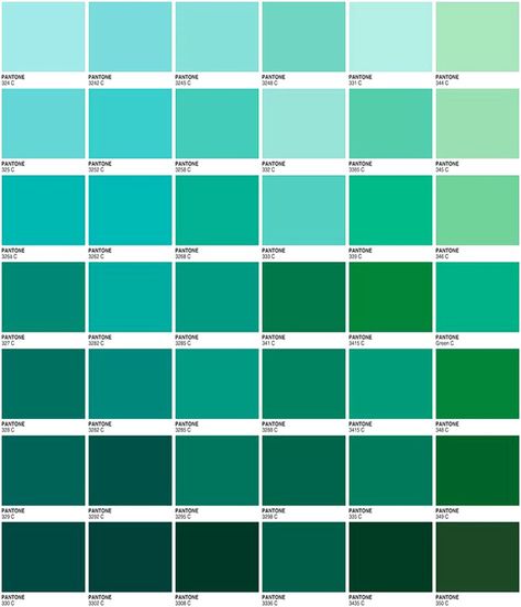 La historia del pañuelo verde: cómo surgió el emblema del nuevo feminismo en Argentina Versace Interior Design, Blue Green Color Names, Versace Interior, Green Color Names, Bathroom Decor Inspiration, Fresh Bathroom, Pantone Color Chart, Icons App, Gorgeous Bathroom