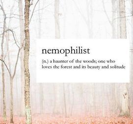 What Animal Are You, Quotes Nature, Word Nerd, Unusual Words, Rare Words, Word Definitions, Unique Words, Aesthetic Words, Writing Words