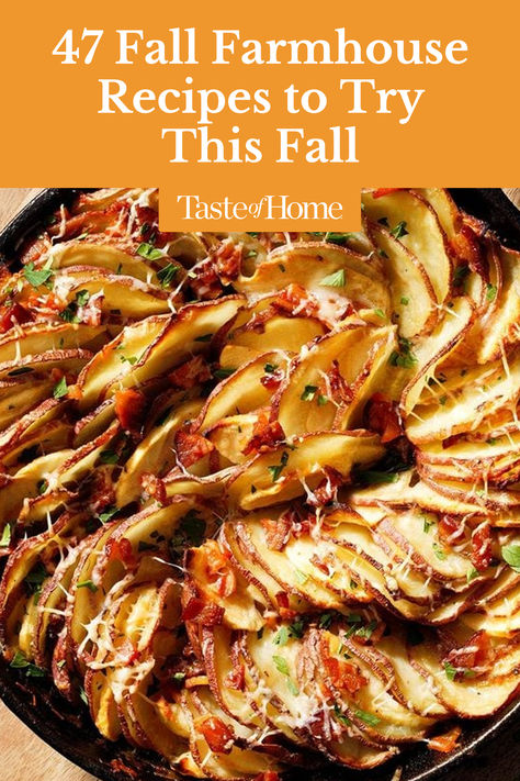 Warm up the chilly days of fall with some comforting farmhouse recipes. Think stuffed pork chops, fresh apple pie, cozy biscuits and much more. Farmhouse Dinner Recipes, Farmhouse Meals, Farmhouse Pie, Fresh Apple Pie, Farmhouse Dinner, Farmhouse Food, Farmhouse Recipes, Stuffed Pork Chops, Halloween Tricks