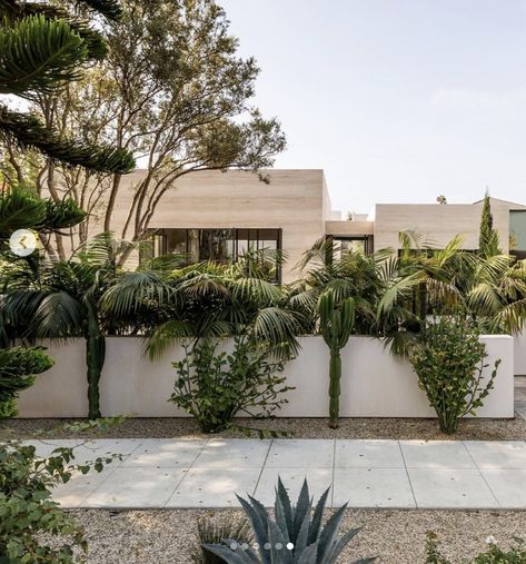 path Zen Outdoor Space, Venice Los Angeles, Hacienda Style, Urban Oasis, Coastal Home, Venice Beach, Instagram Inspiration, Native Plants, House Tours