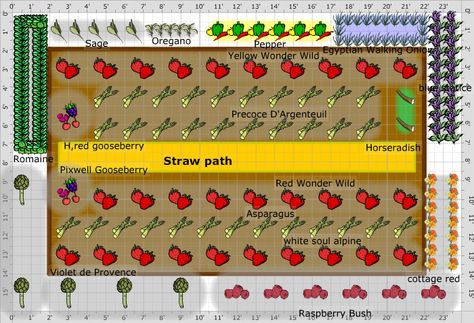 Garden Plan - 2013: raised asparagus bed Garden Planting Layout, Asparagus Bed, Strawberry Bed, Planting Layout, Strawberry Beds, Garden Planning Layout, Raised Garden Bed Plans, Strawberry Planters, Vegetable Garden Raised Beds