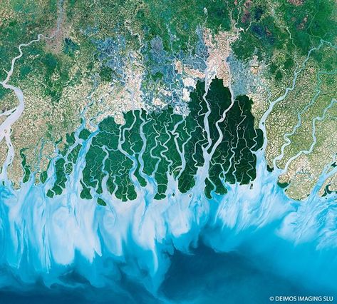 A satellite image of the Sundarbans, the largest delta in the world. The Sundarbans is a mangrove area formed by the confluence of Ganges,… Images Of Earth, Satellite Pictures, Earth Song, Nasa Images, Earth Photos, Aerial Photos, Mangrove Forest, Aerial Images, Black Beach