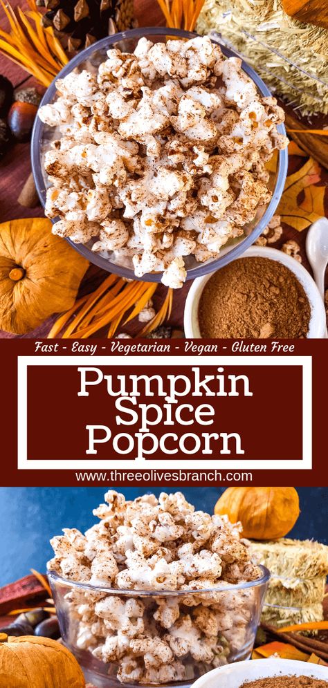 This Homemade Pumpkin Spice Popcorn is ready in just 10 minutes! A sweet and savory pumpkin spice is sprinkled across fresh homemade popcorn for a fast and easy snack recipe. Gluten free, vegan, and vegetarian. #pumpkinspice #fallsnacks #fallrecipes Sweet Popcorn Seasoning, Homemade Popcorn Seasoning, Popcorn Seasoning Recipes, Popcorn Pumpkin, Flavored Popcorn Recipes, Popcorn Seasonings, Popcorn Recipes Easy, Savory Snack Recipes, Gluten Free Pumpkin Spice