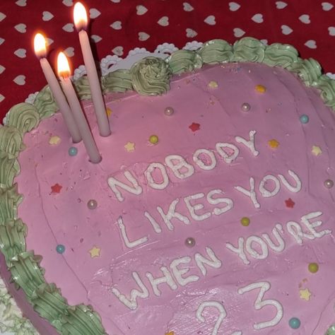 what's my age again 23rd birthday cake nobody likes you when you're 23 sprinkles coming of age messy childhood core Pink And Sage Green Birthday, Nobody Likes You When You're 23 Cake, 23rd Birthday Cake Ideas, 23rd Bday Cake, Messy Birthday Cake, Sage Green Birthday Cake, 23rd Birthday Ideas, Sage Green Birthday, 23rd Birthday Cake