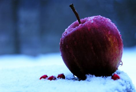 Winter Lunar Chronicles, Yennefer Of Vengerberg, Images Disney, Fairest Of Them All, Poison Apples, Apple White, Disney Aesthetic, Princess Aesthetic, Evil Queen