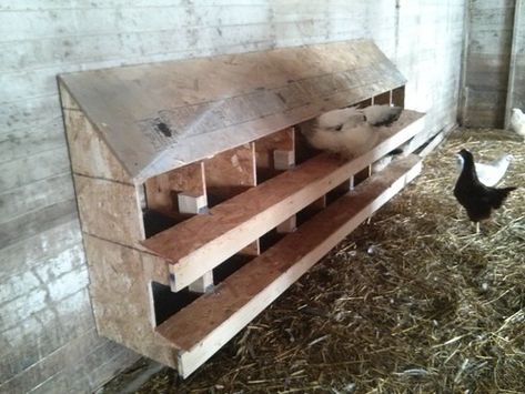 Rollout Nest Boxes Chicken Egg Laying Boxes, Roll Out Chicken Nesting Boxes Diy, Rollout Nesting Boxes Diy, Egg Roll Out Nesting Box Diy, Diy Rollaway Nesting Boxes, Roll Out Nesting Boxes, Laying Boxes For Chickens Diy, Chicken Laying Boxes, Nesting Boxes Diy