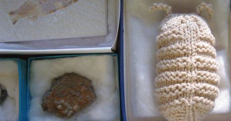 Other than knitting my other interests include fossil hunting. As I looked at some fossil trilobites  I was thinking that I could probably k... Make A Stuffed Animal, Fossil Hunting, Arthropods, Learn How To Knit, Top Sewing Pattern, Pin Cushion, Build A Bear, Woodland Creatures, Cat Toy