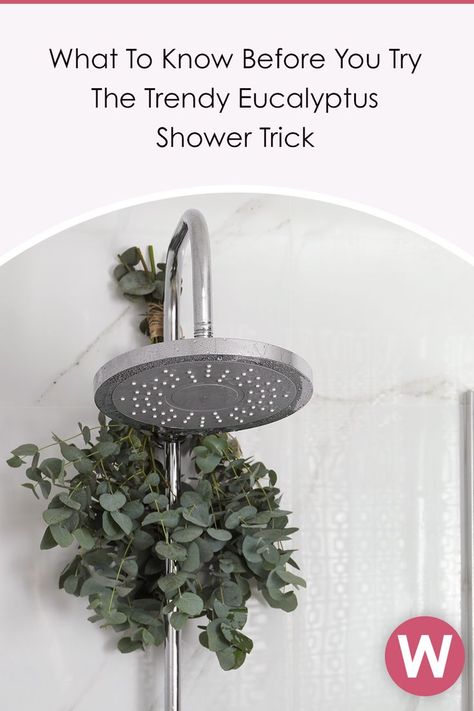 If you've ever dreamed of bathing under a waterfall in the woods, you're going to want to check out the latest shower trend taking over Instagram. You've probably seen it — people are hanging bunches of eucalyptus branches from their shower heads. #eucaplytusshower Bathroom Decor Ideas Green, Plants Guide, Decor With Plants, Small Bathroom Decor Ideas, Plants Home, Easy Paper Crafts Diy, Bathroom Tile Ideas, Bathroom Plants, Upstairs Bathrooms