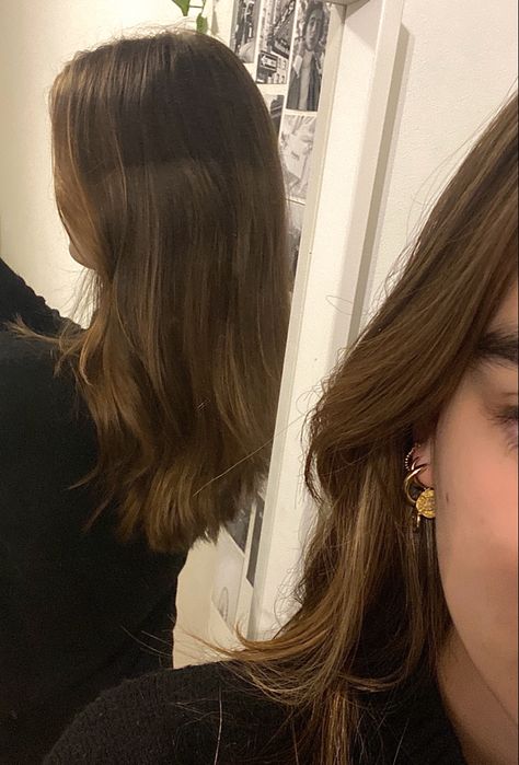 Light Brown Highlights On Dark Brown Hair, Minimal Highlights Hair Brunettes, Small Highlights In Brown Hair, Brown Hair Honey Highlights, Natural Highlights For Brown Hair, Subtle Highlights For Brunettes, Brown Hair With Subtle Highlights, Subtle Brown Highlights, Highlights On Brown Hair