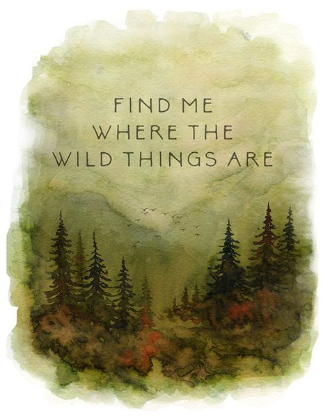 Wild Things Nursery, Citation Nature, Seni Cat Air, Wild Things, Nature Quotes, Pics Art, Travel Quotes, The Words, Watercolor Illustration