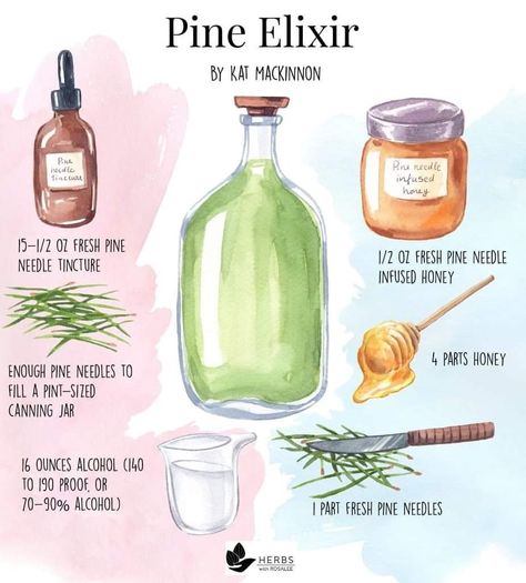 Herbal Elixir Recipes, Pine Recipes, Herb Facts, Witchy Ingredients, Herbal Pillow, Tincture Recipes, Potion Recipes, Herbal Preparations, Medicinal Herbs Remedies