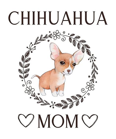 Chihuahua mom design perfect for mothers who love their chihuahuas! Makes the perfect gift for any other chihuahua moms out there. Dog Mom Wallpaper, Mom Wallpaper, Chihuahua Mom, Mom Design, Pet Mom, Chihuahua Love, Chihuahua Dog, Dog Mama, Chihuahua Dogs