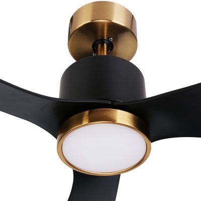 Simple and modern appearance, classic color scheme, two-color option, timing function, six-speed shift, maximum speed up to 180 RPM, Reversible DC motor (Reversible DC motor) convenient and fast with remote control. Finish: Black | Everly Quinn Miajah Ceiling Fan w / Light Kit w / Remote Control & Light Kit Included in Black | Wayfair Propeller Ceiling Fan, Ceiling Fan Bedroom, Remote Control Light, Inspire Me Home Decor, Ceiling Fan With Remote, Modern Ceiling, Dc Motor, Everly Quinn, Fan Light