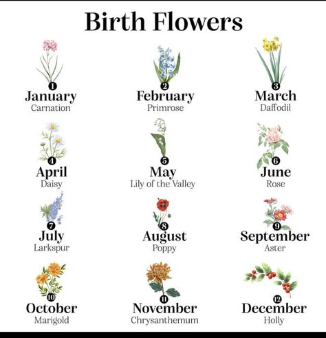 Zodiac Flowers Birth Month, Month Symbols, Flowers Chart, Birth Month Symbols, Bird Names, Illustrated Flowers, Flower Words, Astrology Tarot, Uncommon Goods