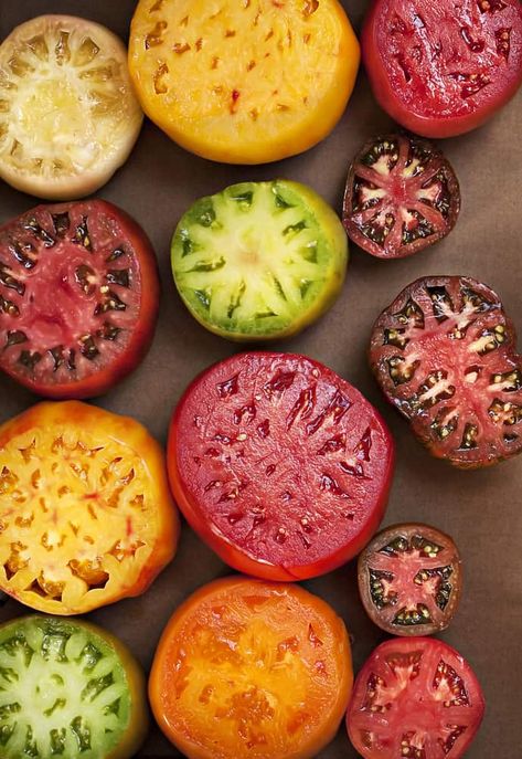 Saving Tomato Seeds, Summer Tomato Recipe, Heirloom Tomatoes Varieties, Tomato Problems, Growing Tomatoes From Seed, Growing Organic Tomatoes, Heirloom Tomato Seeds, Types Of Tomatoes, Tomato Farming