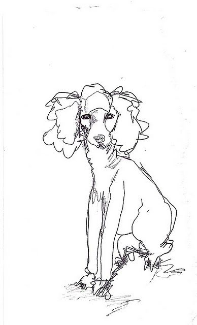 Poodle Sketch Illustrations, Standard Poodle Tattoo, Miniature Poodle Tattoo, Puddle Sketch, Poodle Line Art, Toy Poodle Illustration, Poodle Sketch, Poodle Portrait, Poodle Doodles