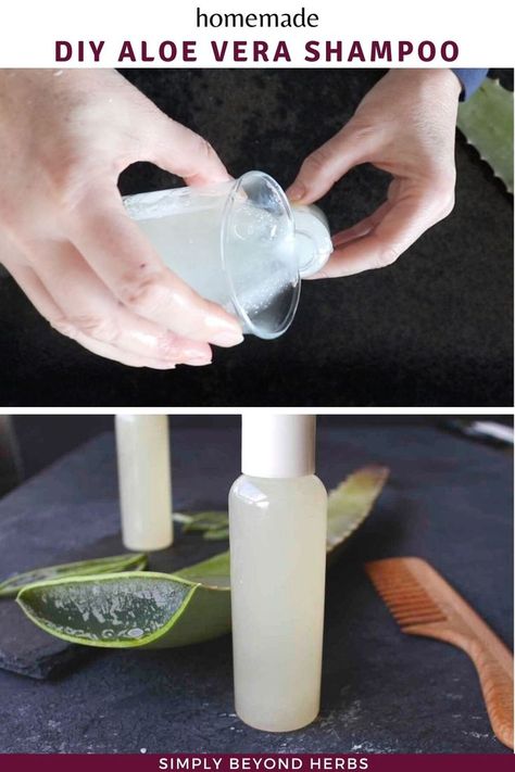 aloe vera shampoo Low Thyroid Remedies, Diy Shampoo Recipe, Aloe Vera Shampoo, Baking Soda For Hair, Aloe Vera Benefits, Baking Soda Benefits, Shampoo Recipe, Homemade Shampoo, Diy Shampoo