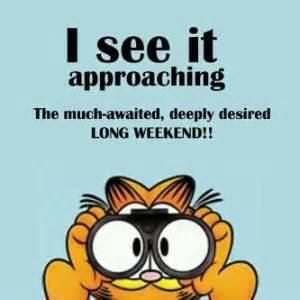 I can't wait until the #weekend. 1 more day! #Friday #TGIF #Saturday #TGIS #kensherman902 Long Weekend Quotes, Bon Week End Image, Garfield Quotes, Happy Thursday Quotes, Thursday Quotes, Garfield And Odie, Weekday Quotes, Weekend Quotes, Weekend Humor