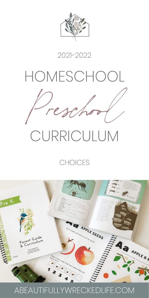 Homeschooling Activities Preschool, Preschool Year Plan, Home School Prek Curriculum, Preschool Yearly Curriculum, Homeschool Preschool Curriculum Age 4, Homeschooling 1st Grade Curriculum, Prek Homeschool Curriculum, How We Learn, Homeschool Lesson Plans Preschool