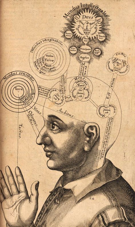 Phenomenological Psychology | Internet Encyclopedia of Philosophy Libros Pop-up, Human Head, A4 Poster, Human Mind, The Human Body, Antique Prints, Fine Art Paper, Les Oeuvres, Fine Art Prints