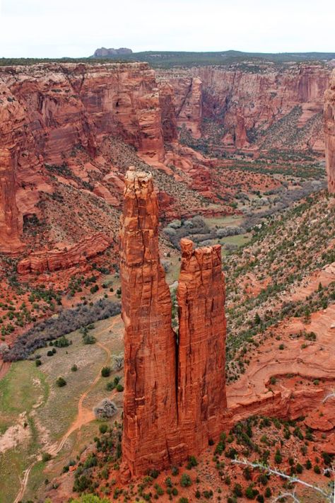 Visit these 7 underrated spots in Arizona #arizona #canyondechelly #spiderrock #hiddengems #simplywander Canyon De Chelly, Petrified Forest National Park, Havasu Falls, Arizona Road Trip, Arizona Hiking, Petrified Forest, Arizona Travel, Destination Voyage, Sedona Arizona