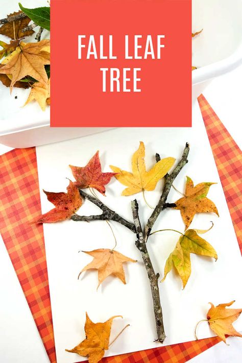 Fall Leaf Tree, Leaf Lesson Plans, Fall Tree Craft, Leaf Craft, Autumn Leaves Craft, Nature Craft, Fall Activity, Thanksgiving Activities For Kids, Fall Nature