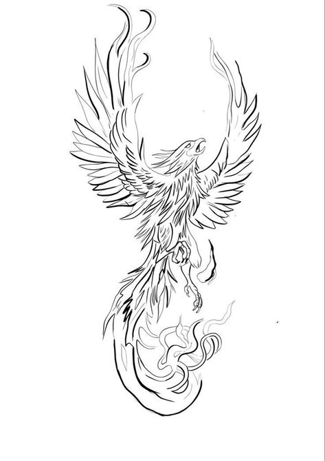 Fenix Bird Tattoo, Phoenix Tattoo Stencil, Fenix Tattoo Design, Phoenix Outline, Ave Fenix Tattoo, Elk Tattoo, Fenix Tattoo, Phoenix Drawing, Small Phoenix Tattoos