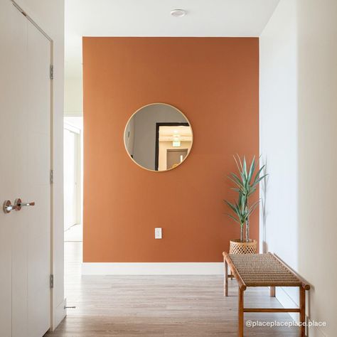 Terra Cotta Paint Color, Orange Accent Walls, Earthy Terracotta, Terracotta Paint, Ghost Ranch, Color Terracota, Living Room Wall Color, Accent Wall Colors, Accent Wall Paint