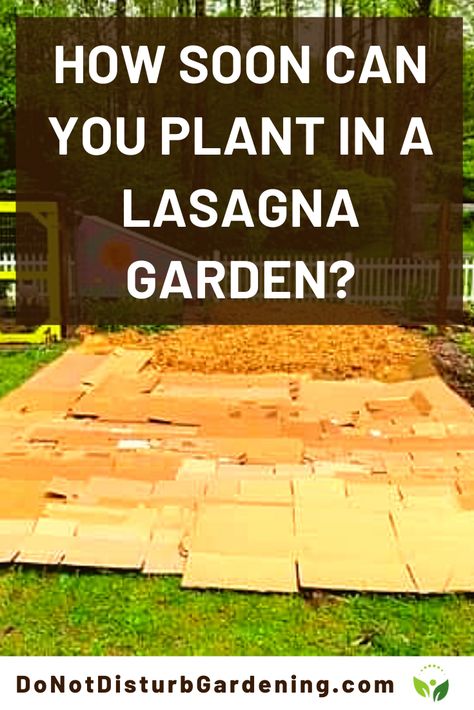 Garden Lasagna Raised Beds, Lasagna Gardening Layers How To Make, Layer Garden Bed, Sheet Mulching Gardening, Lasagna Gardening Layers, How To Layer A Raised Garden Bed, Lasagna Composting, Layer Gardening, Lasagna Garden