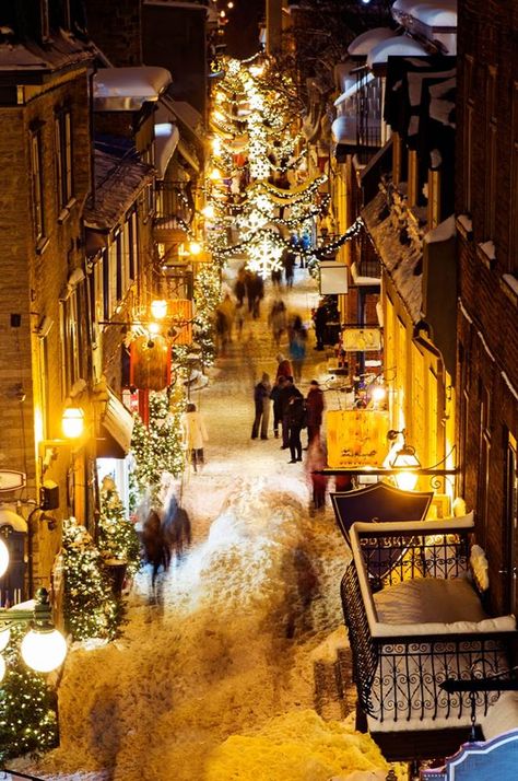 Christmas magic in Quebec City Quebec Christmas, Quebec City Christmas, Quebec City Winter, Quebec Winter Carnival, Old Quebec City, Quebec Winter, Canadian Christmas, Canada Christmas, City Christmas