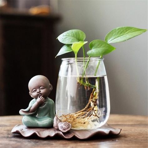 Cute Buddha, Plant Vases, Bottle Plant, Chinese Plants, Buddha Figures, Little Buddha, Good Morning Nature, Hydroponic Plants, Ceramic Flower Pots