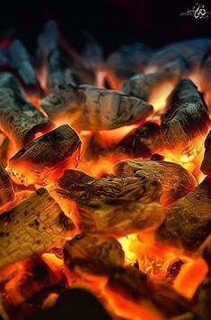 Sources of Inspiration - Burning Embers Fire Photography, Fire Element, Open Fire, Light My Fire, Winter Camping, Fire And Ice, Source Of Inspiration, Image Hd, Aphrodite