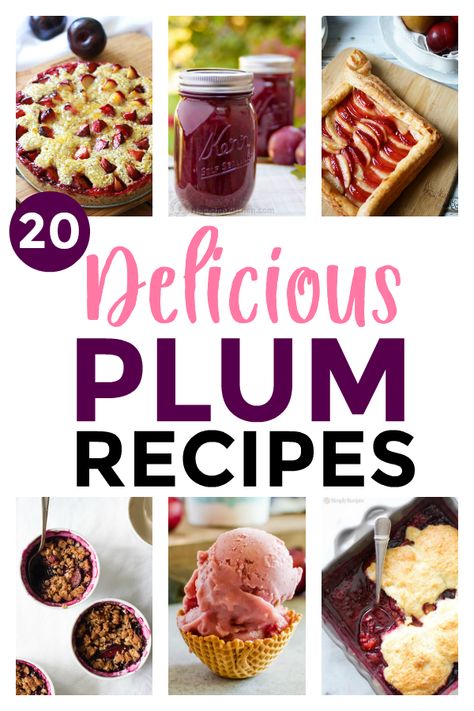 Santa Rosa Plum Recipes, Uses For Plums, Overripe Plum Recipes, Crisps Desserts, Cinnamon Streusel Cake, Plum Ice Cream, Plum Upside Down Cake, Plum Jam Recipes, Crisp Desserts