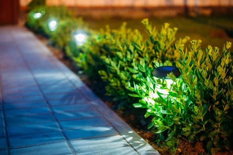 The 9 Best Outdoor Solar Lights of 2019 Front Yard Lighting, Path Lighting, Best Solar Lights, Solar Landscape Lighting, Landscape Lighting Design, Solar Landscape, Walkway Lights, Yard Lights, Backyard Lighting