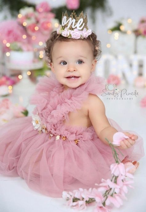 Rose Princess Dress, Rose Lace Dress, Tulle Pink, Pink Swan, Swan Dress, 1st Birthday Tutu, Floral Applique Dress, Pink Tulle Dress, Whimsical Dress