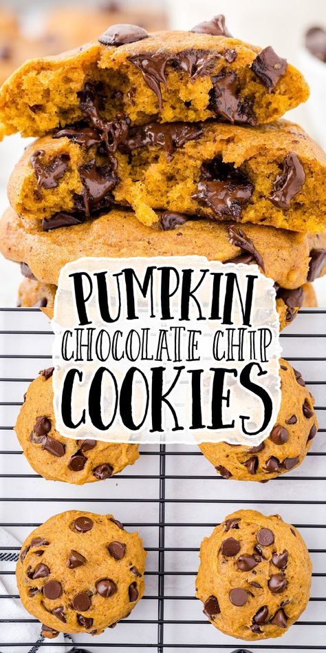 Soft, perfectly pumpkin-y, and dotted with chocolate chips, these Pumpkin Chocolate Chip Cookies will soon be everyone’s favorite fall cookie. Pumpkin Chocolate Chip Cookies Fluffy, Chocolate Chip Cookies Pumpkin, Pumpkin Chocolate Chip Cookies Soft, Pumpkin Chocolate Cookies Recipes, Easy Chocolate Chip Pumpkin Cookies, Gluten-free Pumpkin Chocolate Chip Cookies, Choc Chip Pumpkin Cookies, Harmons Pumpkin Chocolate Chip Cookies, Easy Pumpkin Cookies Chocolate Chips