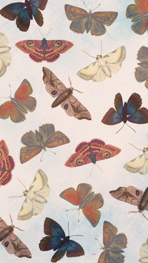 phone background / wallpaper - Boho pastel moths with rich tones Alex Albon Wallpaper, Aesthetic Butterfly Wallpaper, Moth Wallpaper, Alex Albon, Phone Background Wallpaper, Aesthetic Butterfly, F1 Wallpaper, F1 Poster, Mood Wallpaper