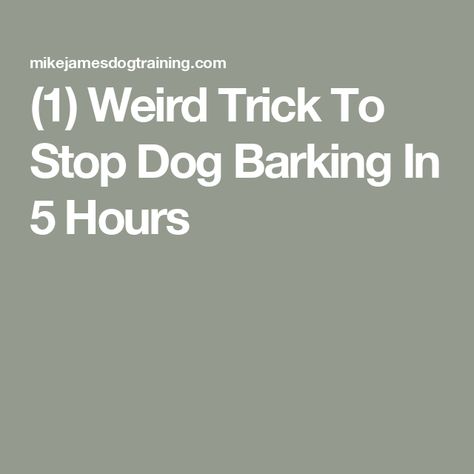 (1) Weird Trick To Stop Dog Barking In 5 Hours How To Stop Dog Barking, Stop Dog Barking, I Still Want You, Life Mission, Dog Ages, When You Leave, Font Face, Dog Parents, Dog Barking