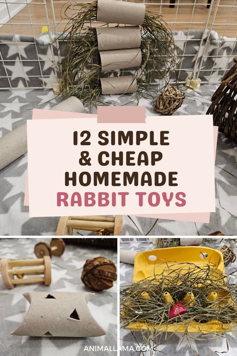 Are you looking for new ideas to keep you pet rabbit entertained and occupied during the day? Here are 12 simple and cheap rabbit toy ideas you can easily make yourself at home! How To Make Rabbit Toys, Rabbit Outdoor Play Area, Rabbit Clothes Diy, Home Made Bunny Treats, Rabbit Enrichment Ideas Diy, Bunny Boredom Busters, Diy Rabbit Enrichment Toys, Bunny Diy Pet Ideas, Activities For Rabbits