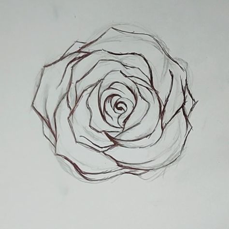 How to Draw A Rose With Pencil, Pen and Ink - Easy Flowers to Draw - Cool Things to Draw When Bored - Pretty Crafts and art Ideas for Teens Rose Drawing From Above, Roses Easy Drawing, Free Sketch Drawings, Things To Draw On Yourself With Pen, Trace Drawings Ideas, Easy Pen Art For Beginners, Cool Sketch Ideas Creativity Easy, How To Draw A Rose Step By Step Simple, Easy Creative Drawings Pencil Simple