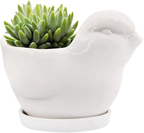 Amazon.com : GeLive White Bird Ceramic Succulent Planter Animal Plant Pot Flower Vase Bonsai Windowsill Box with Drainage Saucer Adorable Indoor Home Decoration : Patio, Lawn & Garden Bird Ceramic, Ceramic Succulent Planter, Ceramic Succulent, Unique Ornament, White Bird, Bird Decor, Fake Plants, Small Birds, Window Box