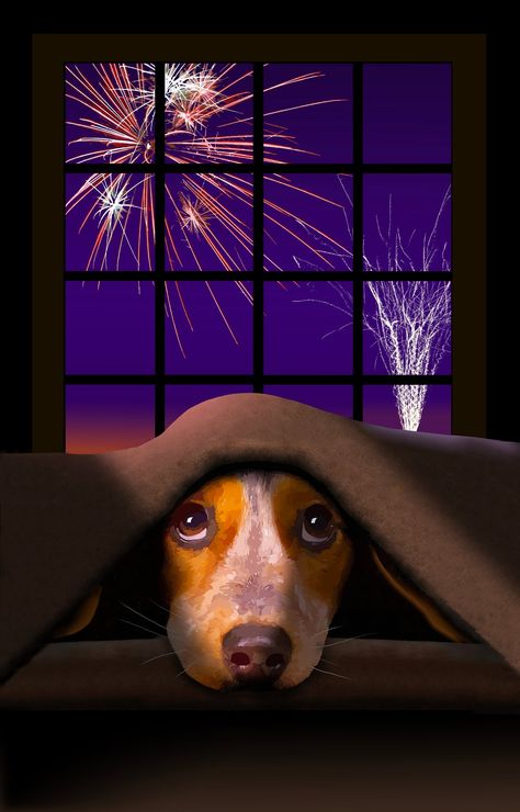 America's Obsession with Fireworks and Dogs: The Dangers and How to Protect Your Dog - FamilyPooch Click here for more tips - https://familypooch.com/blogs/news Dog Scared Of Fireworks, Dog Scared, Dogs And Fireworks, Meme Dog, Beagle Art, Dog Meme, Outside The Window, Beagle Dog, Dog Images