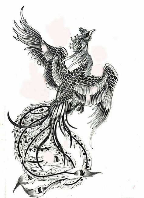 Back Tattoo Japanese, Phoenix Tattoo Sketch, Feniks Tattoo, Phoenix Bird Tattoo, Phoenix Back Tattoo, Drawing Japanese, Japanese Phoenix Tattoo, Phoenix Drawing, Bird Tattoo Back