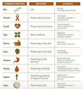 Medical Terminology Medical Terminology Study Cheat Sheets, Medical Terminology Cheat Sheet, Ekg Tech, Medical Terminology Study, Exercise Science, Medical Words, Dummies Book, Medical Billing And Coding, Billing And Coding