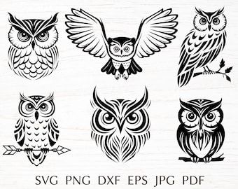 Owl Svg, Digital Drawings, Cute Owl, Etsy Australia, Owls, Digital Drawing, Drawing Illustrations, Bundles, United States