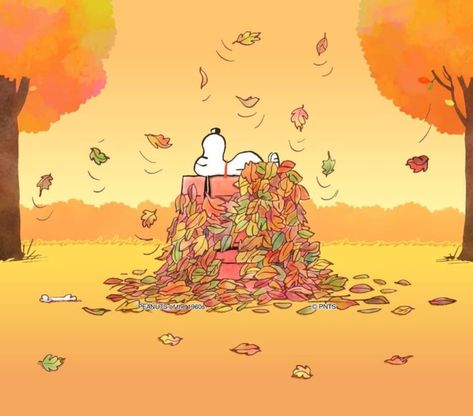 Desktop Wallpaper Fall, Peanuts Wallpaper, Cartoon Template, Peanut Gallery, Peanut Gang, Peanuts By Schulz, Woodstock Snoopy, Snoopy Funny, Thanksgiving Wallpaper