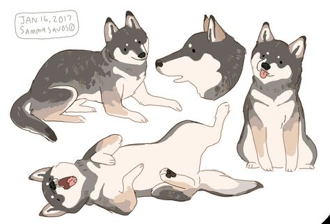 Husky, Dogs, Art