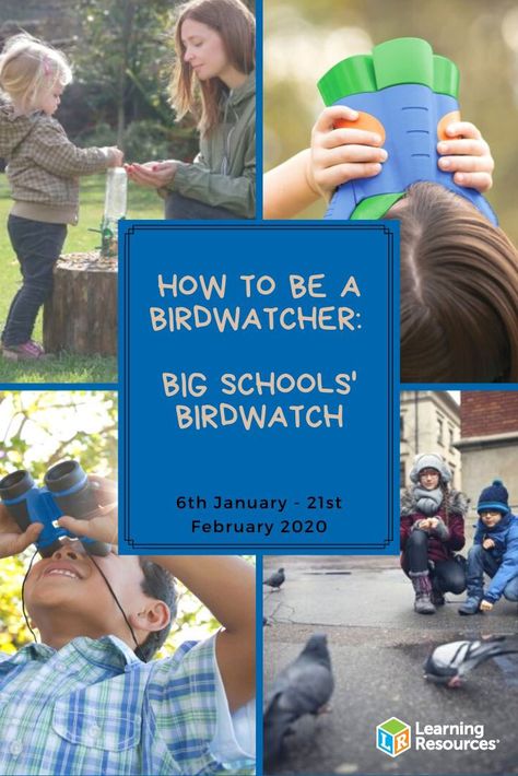 The best equipment for birdwatching are your eyes and ears. Watching birds through a window or heading out into the garden or your local park is quick, easy and free. All you need to do is choose a quiet place, sit very still, and observe what’s going on around you. Facts About Birds, Preschool Outdoor Activities, Easy Hobbies, Through A Window, Primary Science, Science Tools, Map Reading, A Quiet Place, Quiet Place