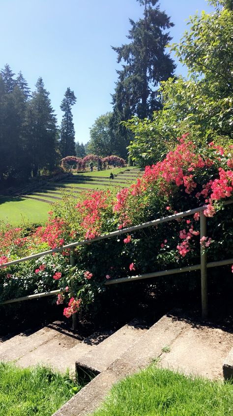 International Rose Test Garden - Portland, OR Portland