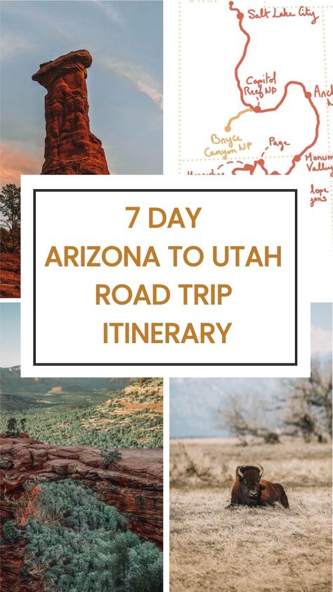 Looking for an Arizona to Utah road trip? Check out our 7 day itinerary to see the best national parks and cities on your way. We also included several Arizona and Utah maps. Utah Road Trip Itinerary, Utah National Parks Map, Chasing Pavements, Utah National Parks Road Trip, Utah Parks, 7 Day Itinerary, Usa Places, Utah Trip, Best National Parks